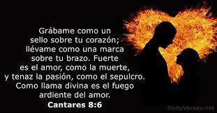 109 Versículos de la Biblia sobre el Amor - DailyVerses.net