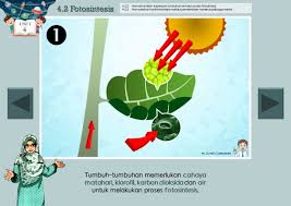 Pengertian fotosintesis pada tumbuhan #klorofil #zat hijau daun #oksigen #co2 #. Sains Tahun 4 Sk Fotosintesis Motivasi Media Sosial Facebook
