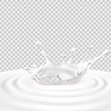 Vector Milk Splash And Pouring Milk Dairy Isolated Png And Vector With Transparent Background For Free Download Foto Fony Vsplesk Vektornye Illyustracii