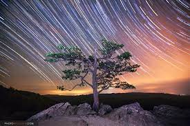 See all things to do. Raven S Roost Overlook Near Lyndhurst Virginia Blue Ridge Parkway Photo Of The Day Galleries