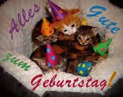 Geburtstagswunsche Fur Ihre Haustiere Katze Spruche Geburtstag Lustig Geburtstagswunsche Geburtstagswunsche Fur Kinder