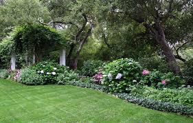 Maybe you would like to learn more about one of these? How To Start A Garden 10 Tips For Beginners Houzz