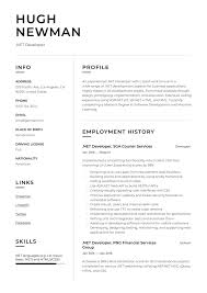 net developer resume & writing guide