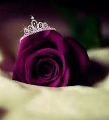 Pin By Rose Sharon On Beautiful Flowers Nice Dp For Whatsapp Cute Images For Dp Pics For Dp