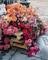 Flower Iphone Wallpapers Iphone Flower Wallpaper 1080p Iphone 7 Flower Wallpaper 4k Pretty Floral Iphone W Pretty Flowers Beautiful Flowers Flower Aesthetic