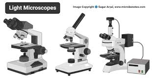 Download the label the parts of the microscope pdf printable version here. Light Microscope Definition Principle Types Parts Magnification