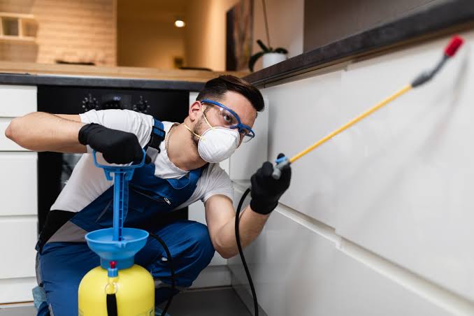 Inspection and Monitoring