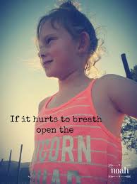 🌻Lilly-Ann Kruger🌻 (@lillaqiii)'s videos with som original