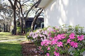 Here are three common insect problems that many home and business owners in cantonment, fl have encountered at some point. Inverness Village Condo Association Inverness Florida Condominiums 55 Deed Restricted Community Maintenance Free Housing Inverness Inverness Village Condominium Association
