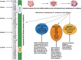 Image result for ALK Inhibitor