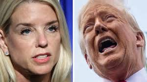 Donald Trump Immigration: US President's plans for border control