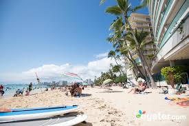 Hours may change under current circumstances Lotus Honolulu At Diamond Head Review What To Really Expect If You Stay