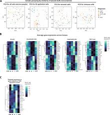 Concerted epithelial and stromal changes during progression of Barrett's  Esophagus to invasive adenocarcinoma exposed by multi-scale, multi-omics  analysis