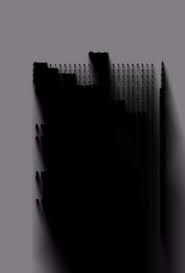 Image result for Anthospermum whyteanum