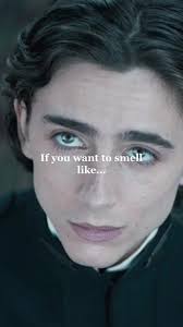 Dune Oscar Isaac Wilde