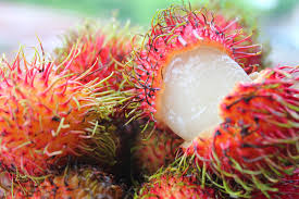Top 10 Fruits Youd Find In The Philippines Philippine Primer