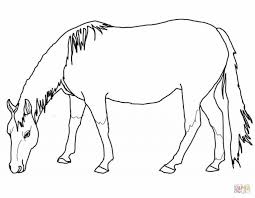 Grazing American Quarter Horse Coloring Pages Free Download Horse Coloring Horse Coloring Pages American Paint Horse