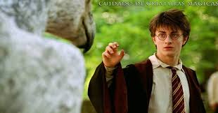 O assassino sirius black (gary oldman) fugiu da prisão de azkaban, considerada até então como à prova de fugas. Sitisitusanasini Zinnia95 Harry Potter E O Prisioneiro De Azkaban Legendado Drive Harry Potter E O Prisioneiro De Azkaban Torrent 1080p Em Promocao Comprar Na Casas Bahia No Entanto Ele Logo Descobre