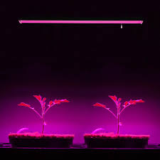 Led shop lights will not provide this value because they are not being sold specifically for plant growth. Red Blue Spectrum Spearmint Orchids Rosemary 80w Equivalent Ul Listed Grow Shop Light Leonlite 4ft Led Plant Grow Light Bulb For Indoor Planting Lemon Veggies 48w Gardening Patio Lawn Garden Fcteutonia05 De
