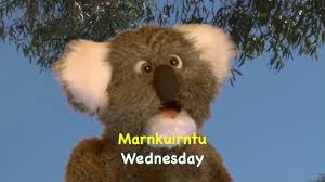 Ep 9 Weekdays In Kaurna Torres Strait Islander Weekday Teddy Bear