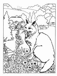 The picture is big and interesting to color. Cat Coloring Pages For Adults Part 3