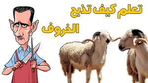 طريقة ذبح أضحية العيد Iعيد الأضحى 2018 Youtube