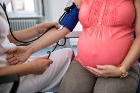 Sistem peredaran darah di dalam badan membekalkan nutrien penting dan. Menjaga Tekanan Darah Normal Ibu Hamil Alodokter