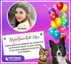 Tema vakfı için yazılan 'tema vakfı doğum günü fidan bağışı' şikayetini ve yorumlarını okumak ya da tema vakfı hakkında şikayet yazmak için tıklayın! Dogum Gunu Bagisi