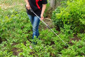 Fight back against pests naturally! Use Beneficial Nematodes To Combat Insect Pests Gardener S Path