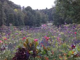 Die gastronomie im garten ist geöffnet. Deutsch Franzosischer Garten In Saarbrucken Ausflugsziele Fur Kinder Im Saarland