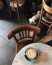 Opening A Coffee Shop Coffee Shop Decor Coffee Shop Design