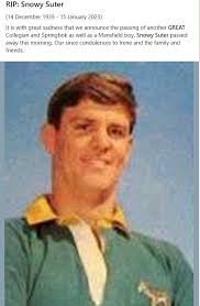 Springbok Rugby Players Profile and Images