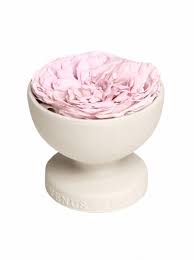 We have more than 15 years of experience in offering gifts across all events in usa. 77 Best Mother S Day Gifts In 2021 Thoughtful Gift Ideas For Mom Glamour