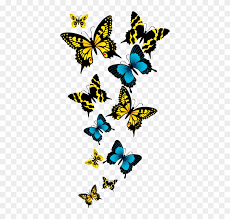 Butterfly png collections download alot of images for butterfly download free with high quality for designers. 425 X Png Format Butterfly Png Clipart 531857 Pikpng