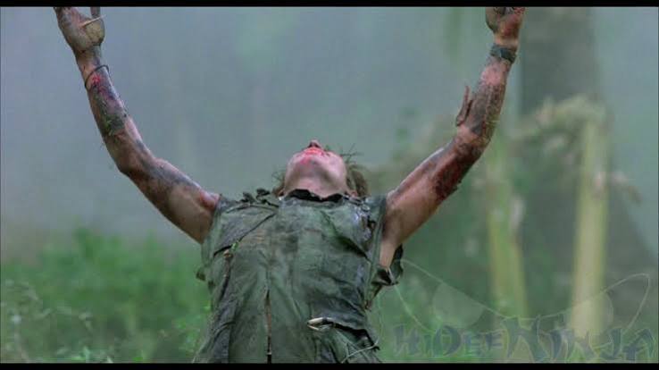 Platoon Blu-ray Review | Hi-Def Ninja - Blu-ray SteelBooks - Pop Culture -  Movie News