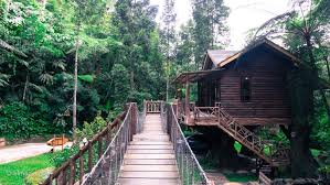 Kemudian, pihak taman safari indonesia mengembangkannya menjadi rumah pohon, rumah hijau, dan caravan yang lebih unik nah, harga atau rate sewa caravan taman safari lodge dipatok mulai dari rp670 ribu per malam. Rumah Pohon Taman Safari Cisarua Bogor Almazia Co