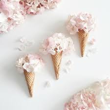 Humeurdujour Ledeclicanticlope Vivement Le Printemps Flower Cones Floral Ice Floral