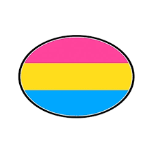 Pride Shack - Pansexual Flag - LGBT Pan Pride - Oval Car Magnet Pan Sexual  Flag | eBay