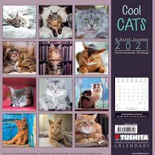 It can be as dirty or as clean as you want it to be. Cool Cats Wandkalender Bei Europosters