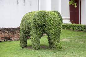How To Make A Topiary Frame Hunker Outdoor Topiary Topiary Trees Topiary Diy