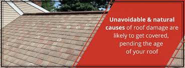 The team of professionals at insurance claim consultants helps clients throughout florida get the highest settlements possible for all types of roof damage. Roofing Insurance Claims Tips From A Roofing Expert Joyland Roofing