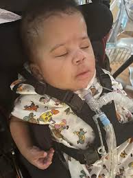 Request for adding angel wings to a photo of a pet