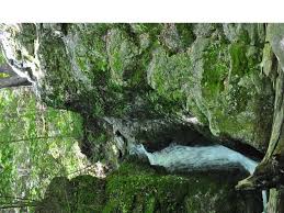 Maybe you would like to learn more about one of these? Indian Well State Park A Connecticut State Park Located Near Ansonia Bethel And Bridgeport