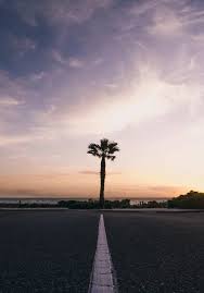 We did not find results for: Apple Ipad 10 2 Wallpapers Hd