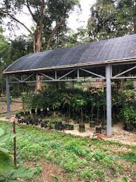 Melaka botanical garden ayer keroh melaka. Malacca Botanical Garden Walk Trail Ayer Keroh Malaysia Pacer
