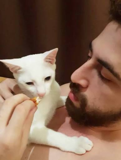 The Hungry Syrian Wanderer | I lost my boy. Milky Boy wasn't just my cat, he  was my constant through every chapter of my life. I had him when I was still