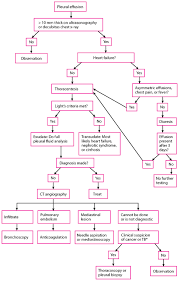 Pleural Effusion Pulmonary Disorders Msd Manual