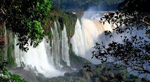 Check spelling or type a new query. Dia Mundial Del Agua 2018 La Respuesta Esta En La Naturaleza Y En Nosotros Iagua