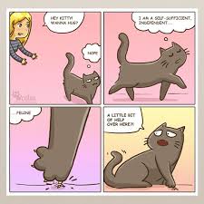 8 Comics That Perfectly Describe Your Life As A Cat Owner Cat Memes Funny Cats Funny Cat Memes