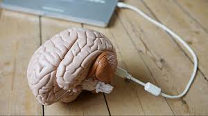 Elon Musk Launches Neuralink, a Brain-Computer Interface Company -  InsideHook